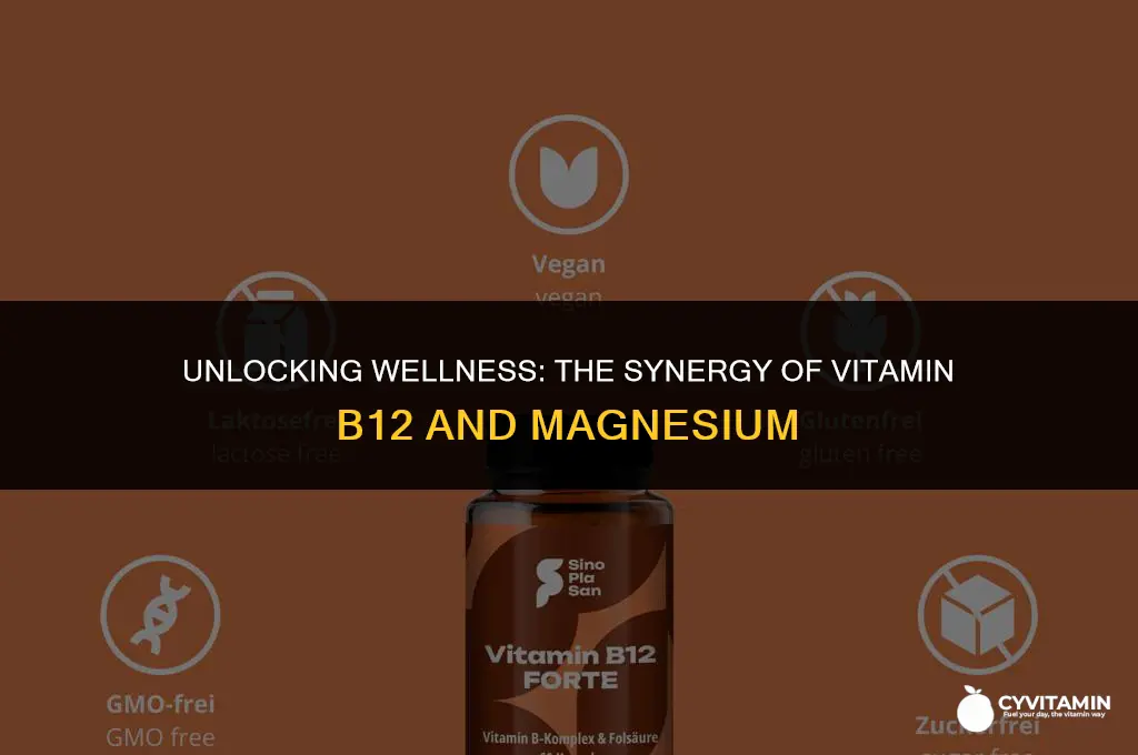 can vitamin b12 and magnesium be taken together