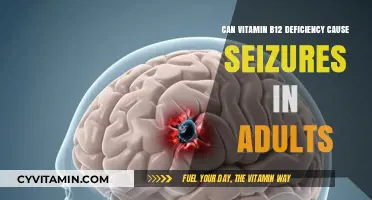 Exploring the Link: Vitamin B12 Deficiency and Seizures in Adults
