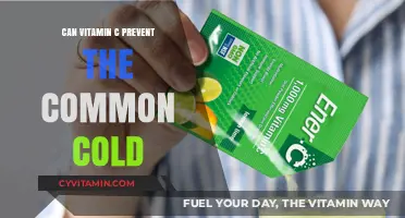 Boosting Immunity: The Role of Vitamin C in Cold Prevention