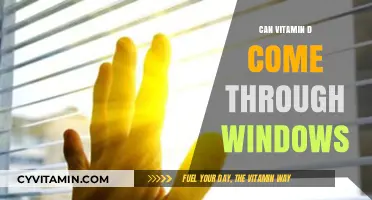 Sunlight and Supplements: Can Vitamin D Really Come Through Windows?