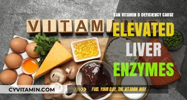 Exploring the Link: Vitamin D Deficiency and Elevated Liver Enzymes