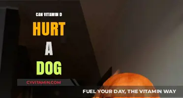 Can Vitamin D Hurt a Dog: Facts and Myths