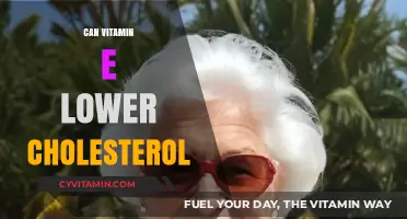 Exploring the Role of Vitamin E in Cholesterol Management