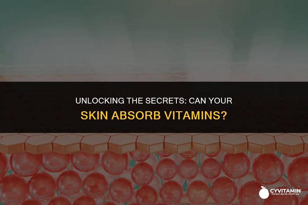 can vitamins be absorbed through skin