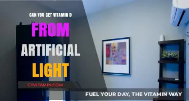 Boosting Vitamin D Levels: The Effectiveness of Artificial Light Sources