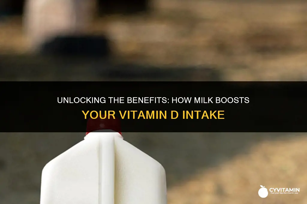 can you get vitamin d from milk
