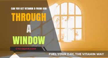 Sunlight Through Windows: Does It Provide Vitamin D?
