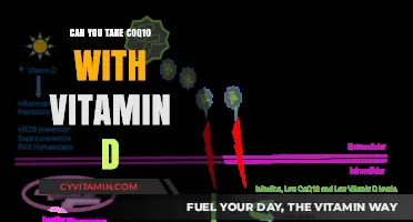 Boosting Health: The Synergy of CoQ10 and Vitamin D