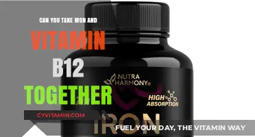 Iron and Vitamin B12: A Guide to Safe Supplementation