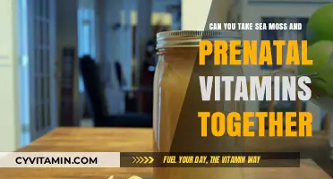 Exploring the Benefits of Sea Moss and Prenatal Vitamins Together