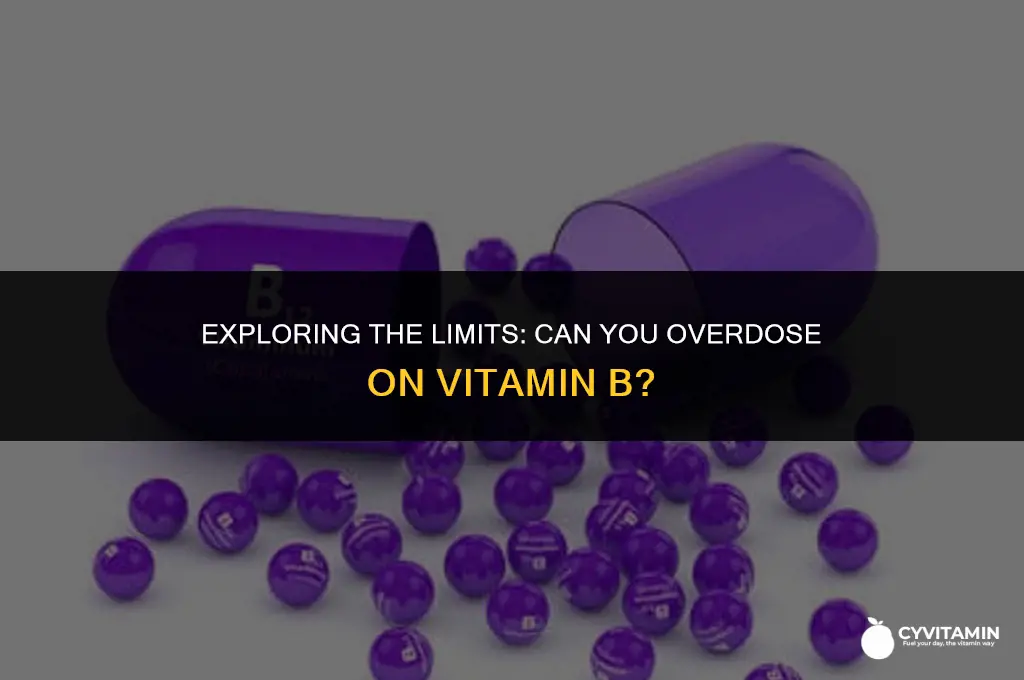 can you take too much vitamin b