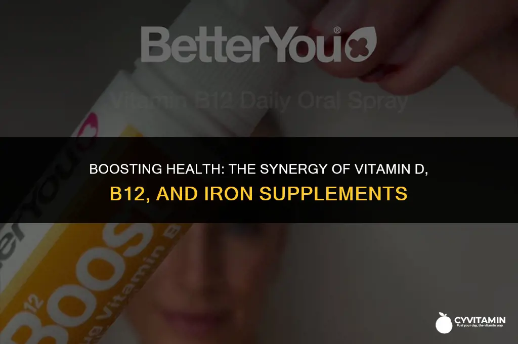 can you take vitamin d b12 and iron together