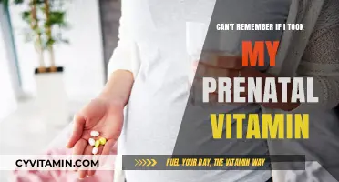 Prenatal Vitamin Predicament: Did I Take It Today?