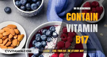 Blueberries and Vitamin B17: Unraveling the Nutritional Mystery