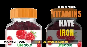 Boosting Baby's Health: The Iron Content in Gummy Prenatal Vitamins