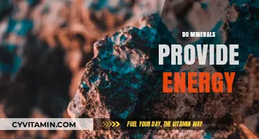 Unveiling the Truth: Do Minerals Really Power Our Bodies?