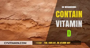 Unlocking the Nutritional Secrets: Do Mushrooms Contain Vitamin D?