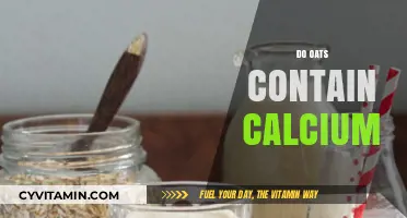 Exploring the Nutritional Benefits: Do Oats Contain Calcium?