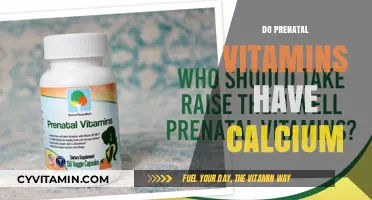 Boosting Baby's Bones: The Calcium Connection in Prenatal Vitamins