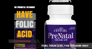 Boosting Baby's Health: The Folic Acid Advantage in Prenatal Vitamins