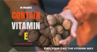 Unlocking the Nutritional Powerhouse: Do Walnuts Contain Vitamin E?