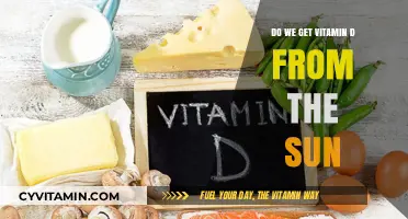 Sunlight and Nutrition: Unraveling the Vitamin D Connection