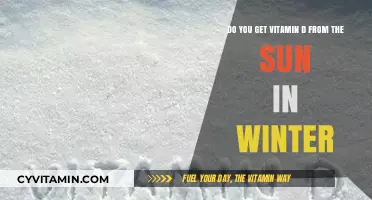 Winter Sun: Unveiling the Truth About Vitamin D Synthesis