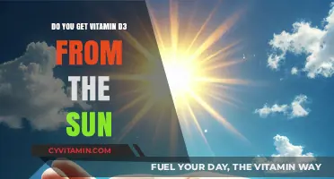 Sunlight and Vitamin D3: Unraveling the Connection for Optimal Health