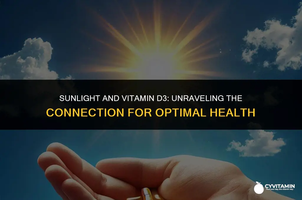 do you get vitamin d3 from the sun