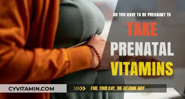 Prenatal Vitamins: A Guide for Expectant and Non-Expectant Mothers