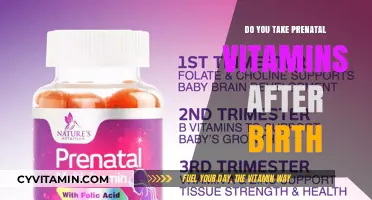 Nourishing New Motherhood: Prenatal Vitamins Postpartum?