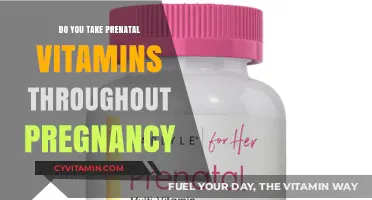 Nourishing Your Journey: Prenatal Vitamins and Their Role Throughout Pregnancy