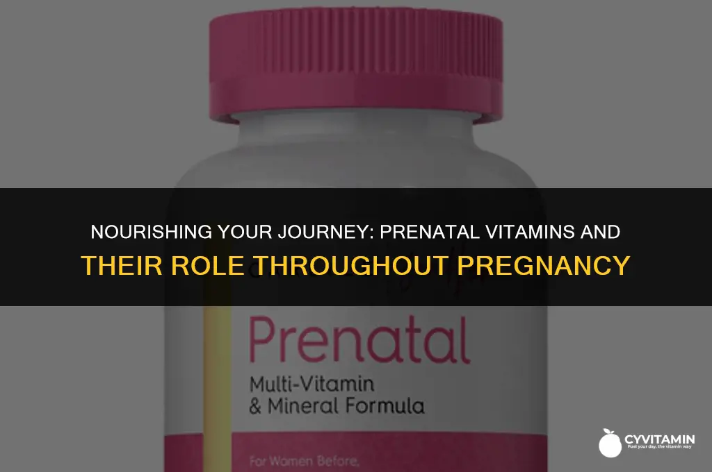 do you take prenatal vitamins throughout pregnancy