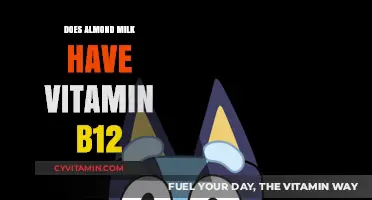 Almond Milk and Vitamin B12: Unraveling the Nutritional Truth