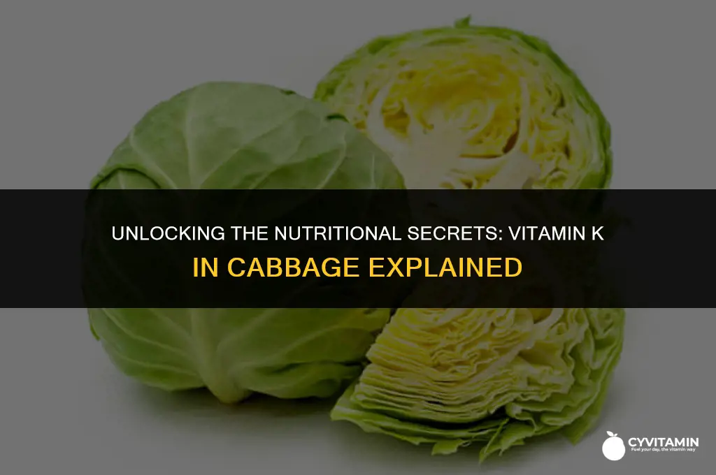 does cabbage contain vitamin k