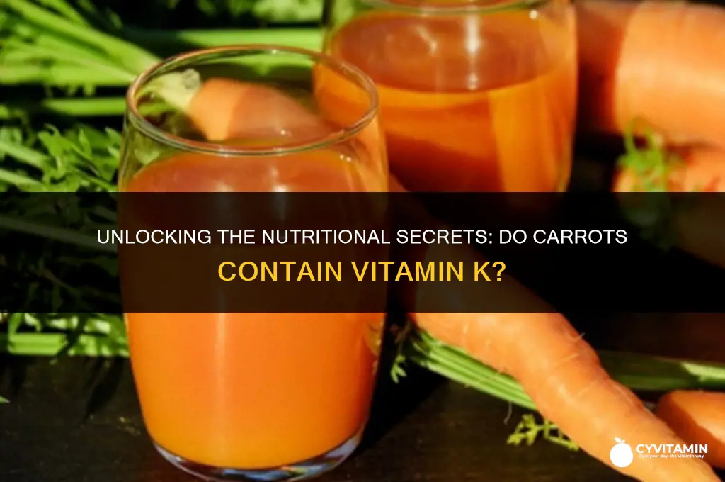 does carrots have vitamin k