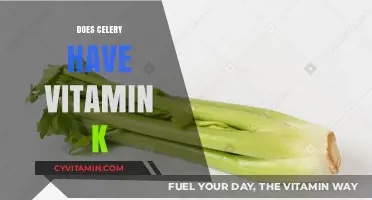Unlocking the Nutritional Secrets: Celery's Vitamin K Content Explored