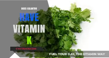 Unlocking the Nutritional Secrets: Cilantro's Vitamin K Content Explored