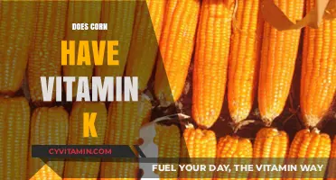 Unlocking the Nutritional Secrets: Does Corn Contain Vitamin K?