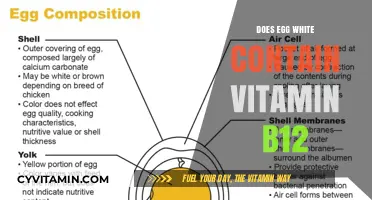 Unlocking Nutrition: The Truth About Vitamin B12 in Egg Whites