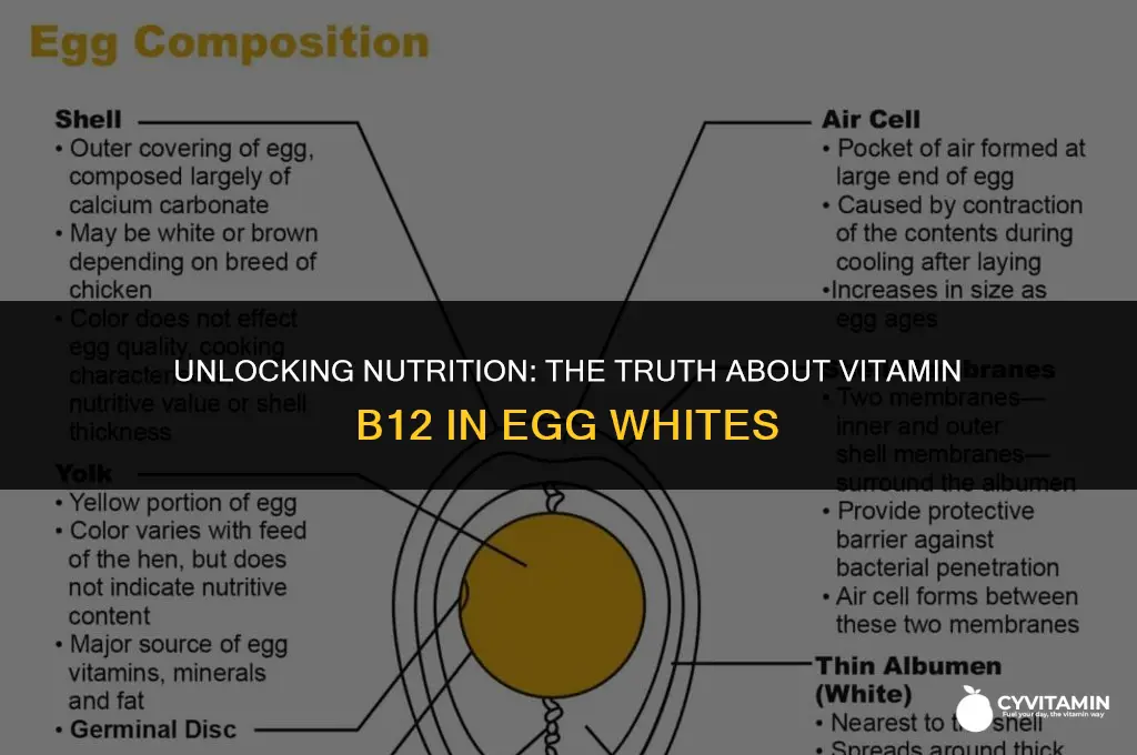does egg white contain vitamin b12