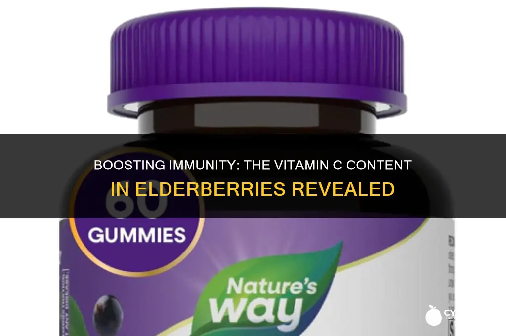 does elderberry contain vitamin c