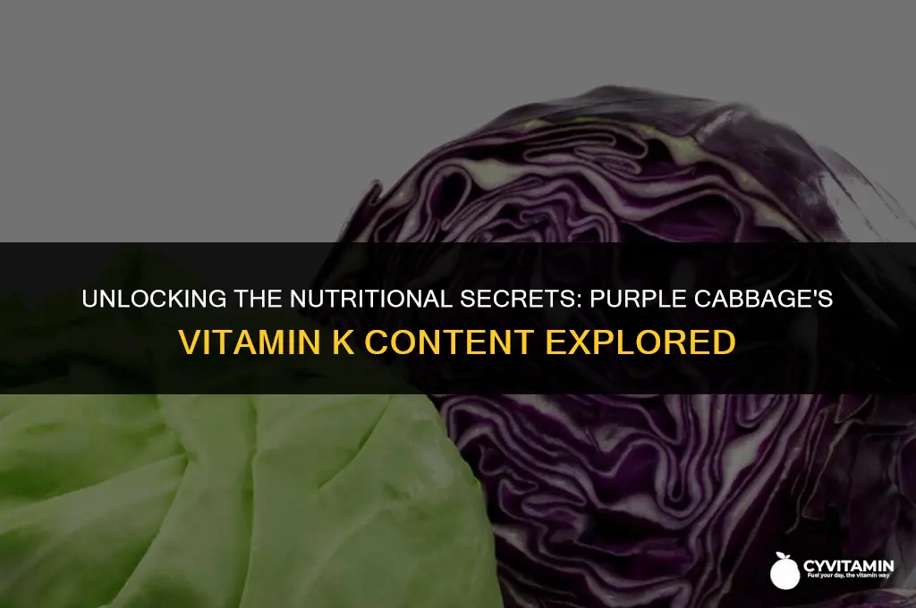 does purple cabbage have vitamin k