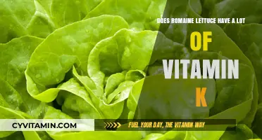 Boost Your Vitamin K Intake with Romaine Lettuce: A Nutritious Choice