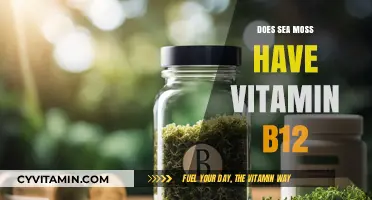 Unlocking the Nutritional Secrets: Does Sea Moss Contain Vitamin B12?