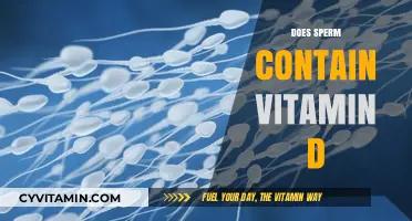 Unlocking the Secrets: Sperm's Surprising Vitamin D Connection