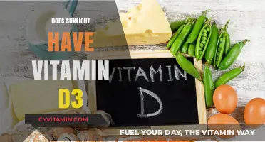 Sunlight and Vitamin D3: Unraveling the Connection for Optimal Health