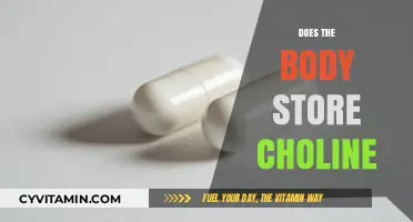 Unlocking the Secrets of Choline Storage in the Human Body