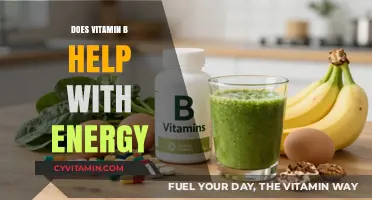 Boosting Energy Levels: The Role of Vitamin B in Your Diet