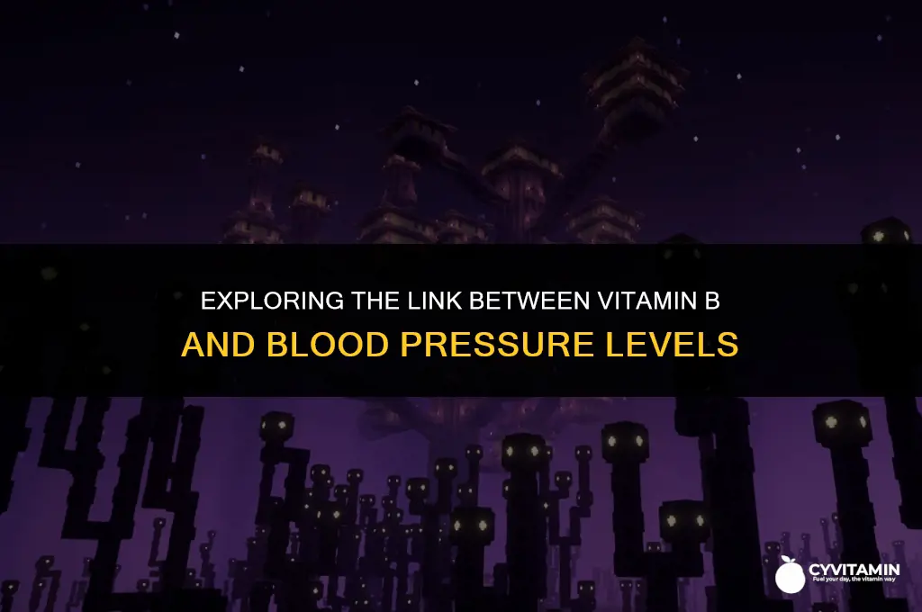 does vitamin b raise blood pressure